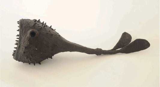 Pez Globo | Angry Fish series