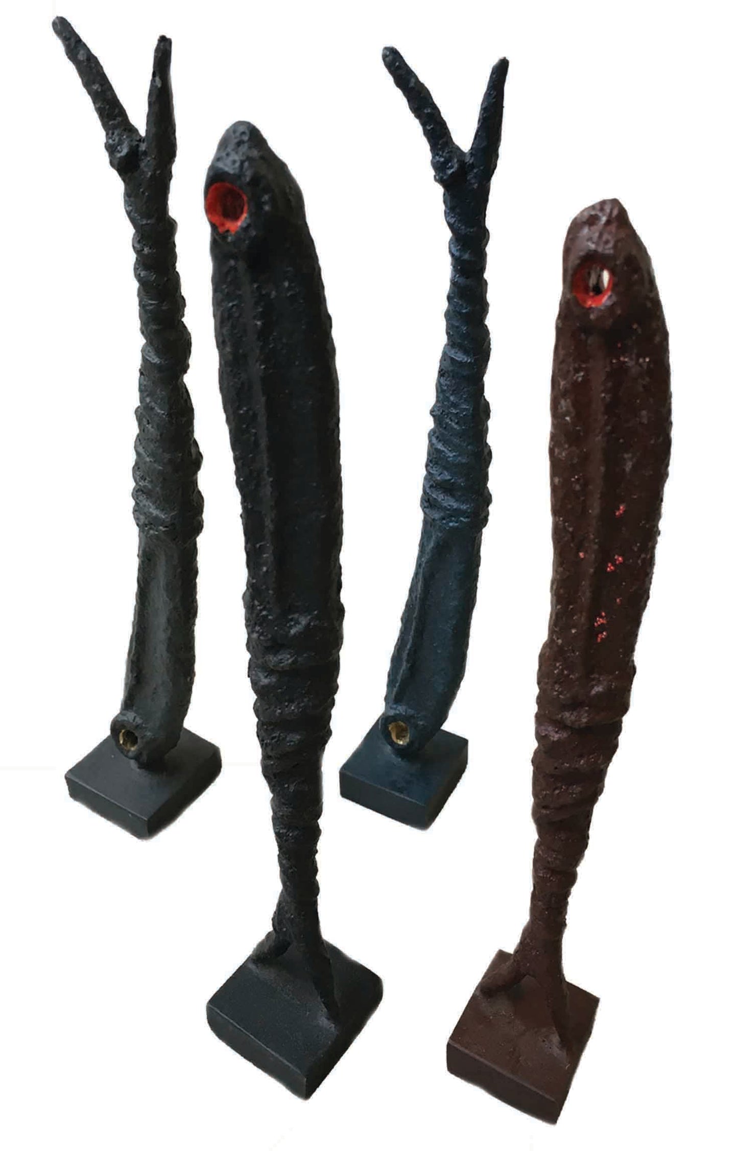 Sardina | Fish series