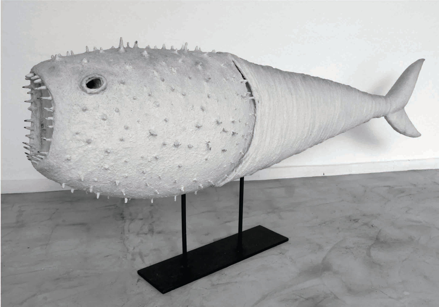 Pez Cactus | Angry Fish series