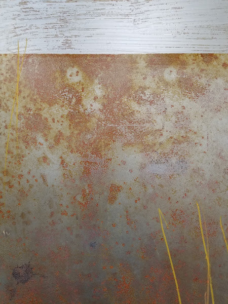 Elements 237