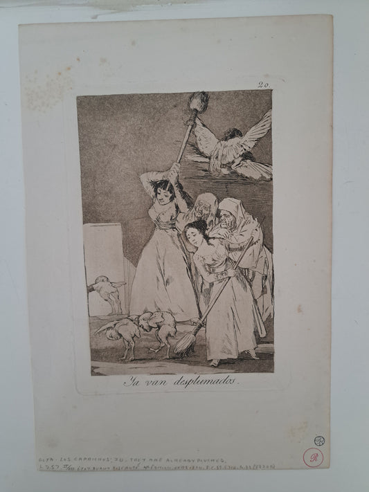 Los Caprichos: Ya Van Desplumados (There are already plucked) No 20