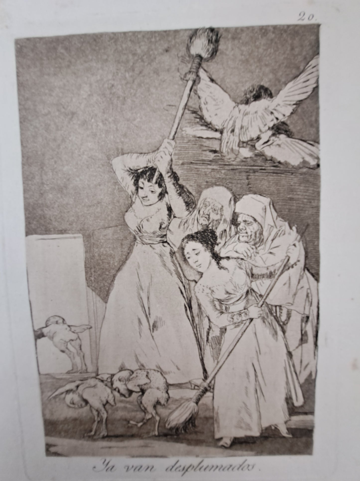 Los Caprichos: Ya Van Desplumados (There are already plucked) No 20