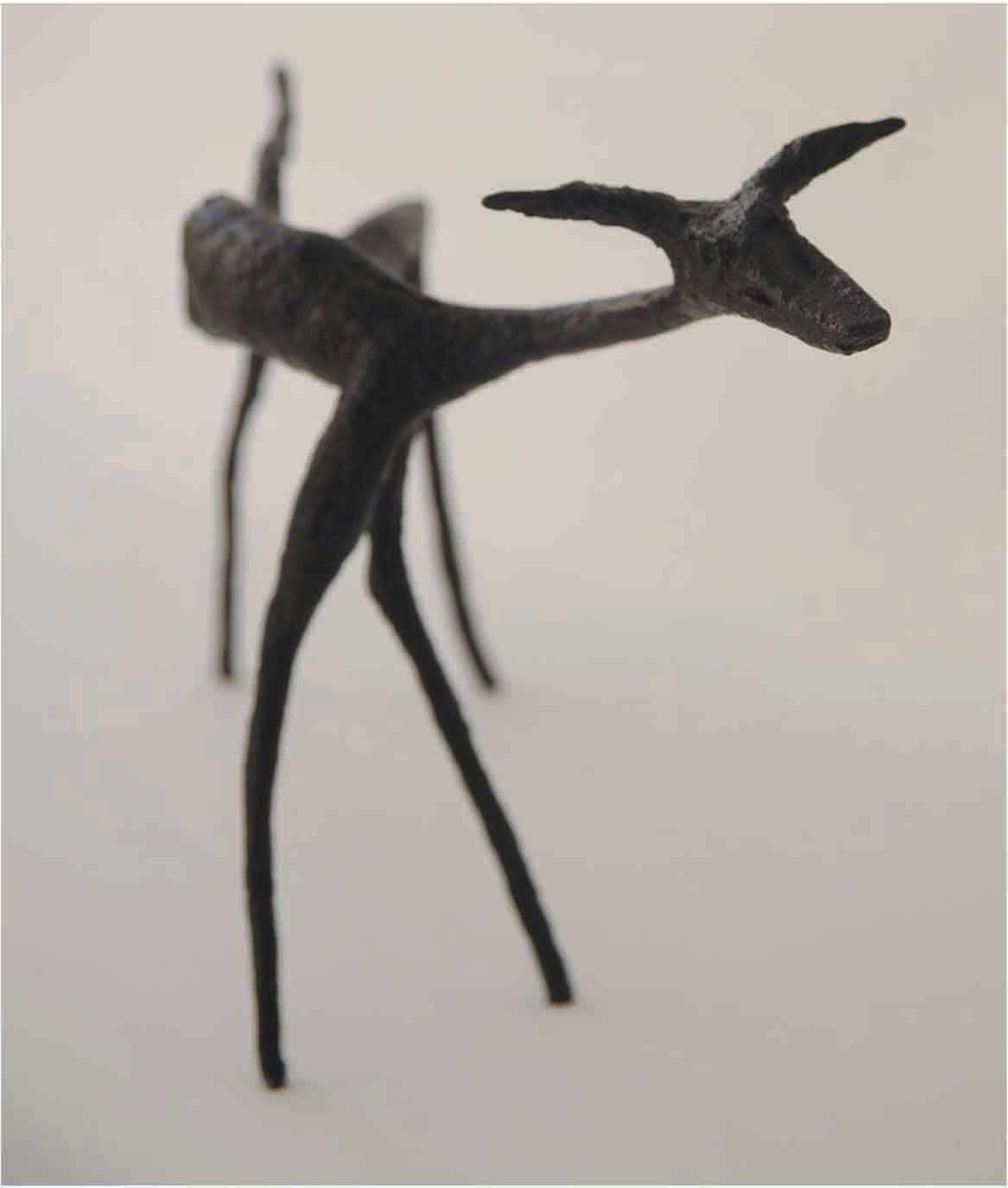 Podenco | Animals series