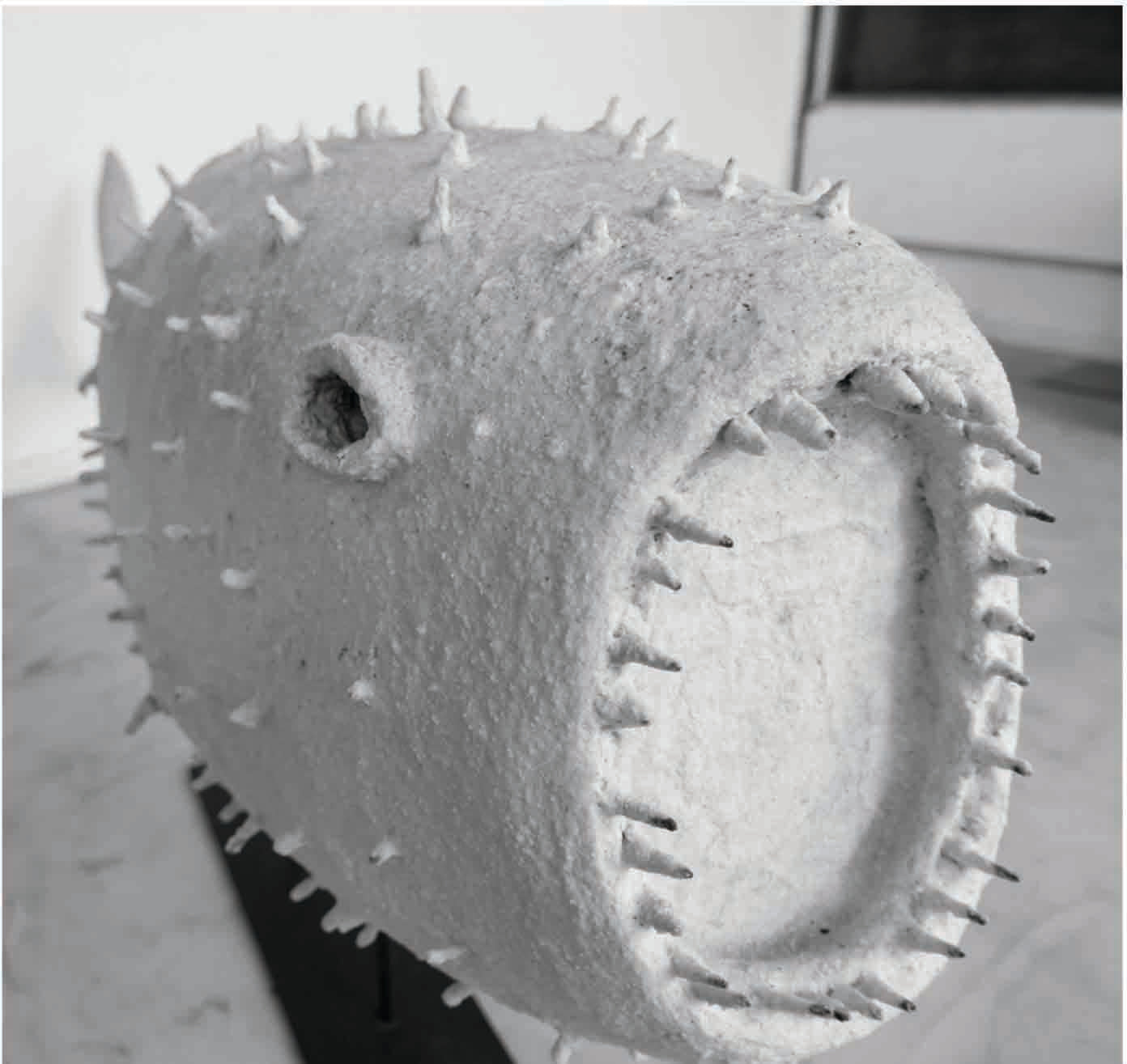 Pez Cactus | Angry Fish series