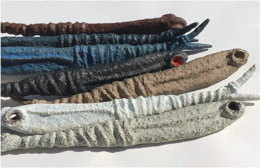 Sardina | Fish series