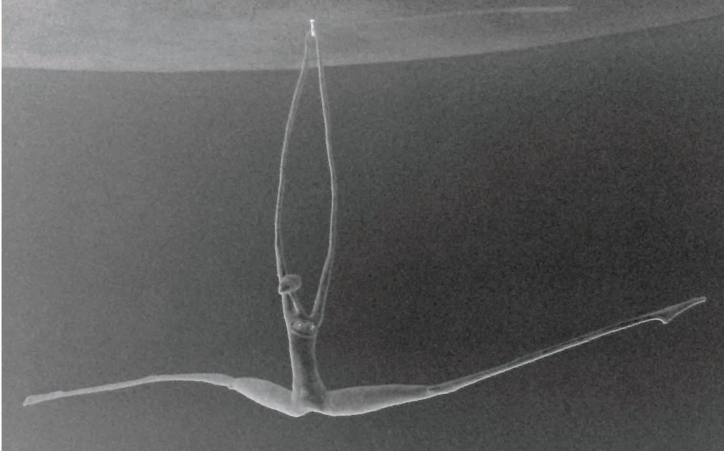 Trapeze Artist series