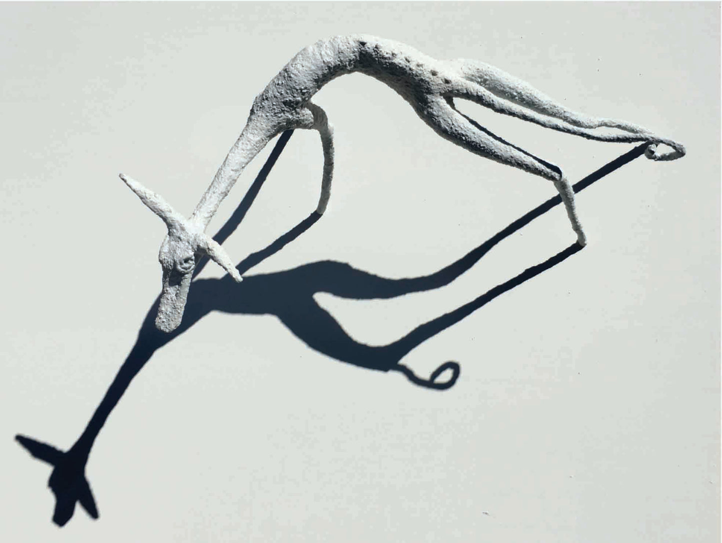 Podenco | Animals series