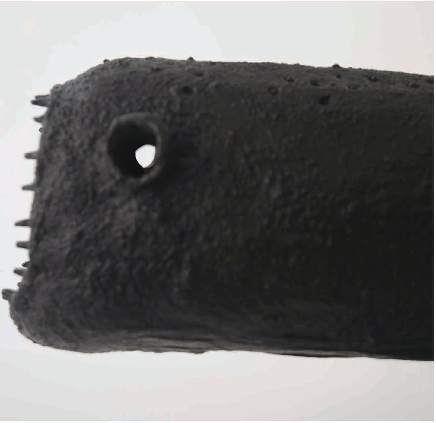 Whale | Angry Fish series