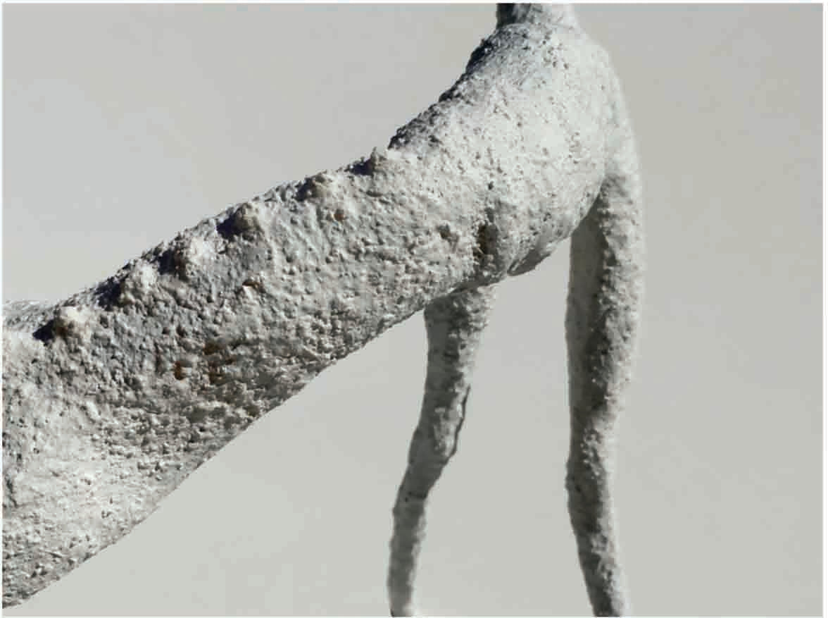 Podenco | Animals series