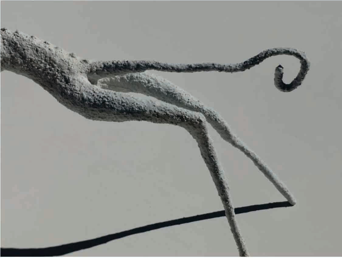 Podenco | Animals series