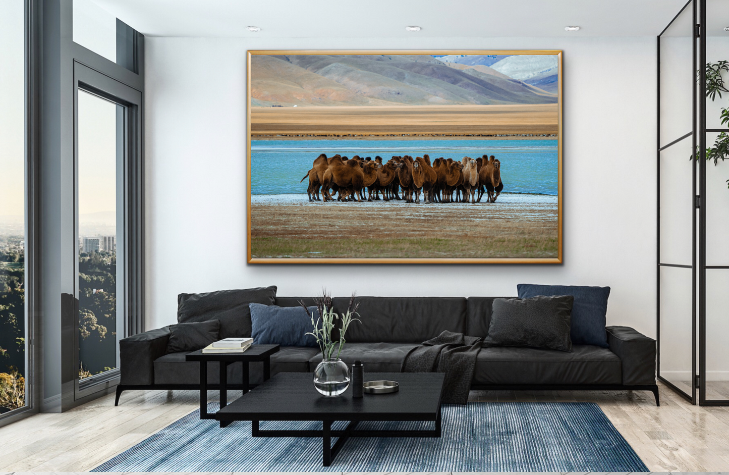 Mongolian Bactrian Camels