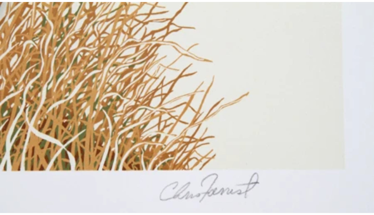 Canada Geese in Flight