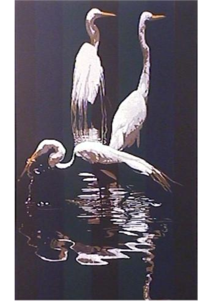 Egrets