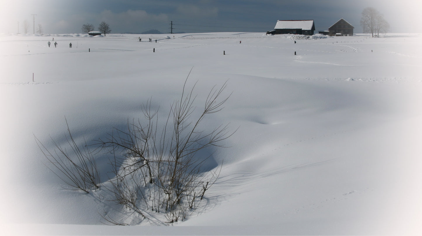 Winter landscape near Einsiedeln, Switzerland