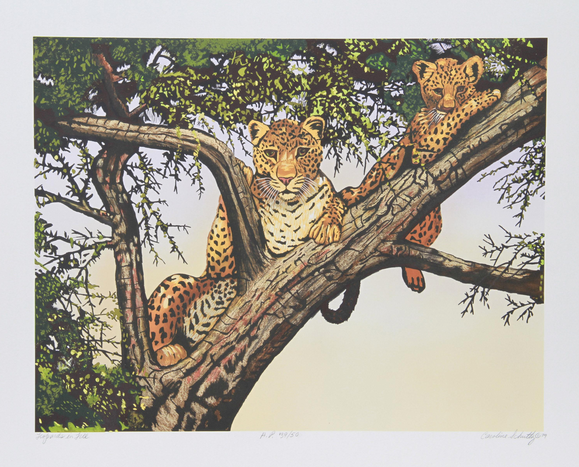 Leopards In Trees